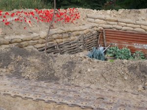 img-21