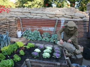 img-39
