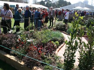 car1007