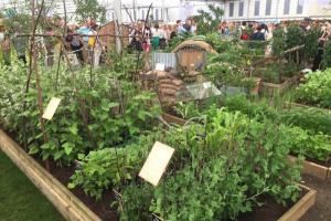 Chelsea Flower Show 2019