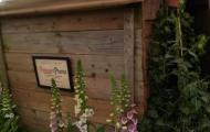 Chelsea Flower Show 2019 1828