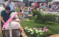 Hampton Court Flower Show 2018