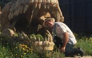 Hampton Court Flower Show 2018