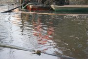 IMG_7535